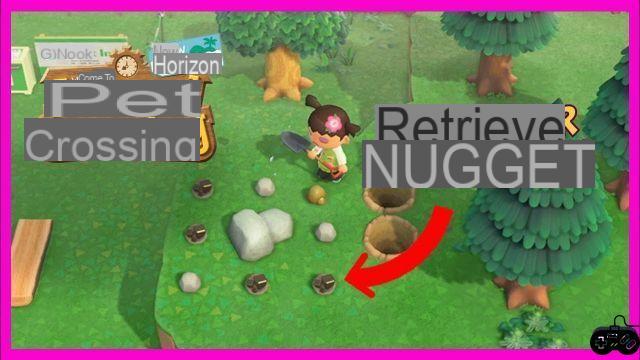 Cómo conseguir pepitas de oro en Animal Crossing: New Horizons