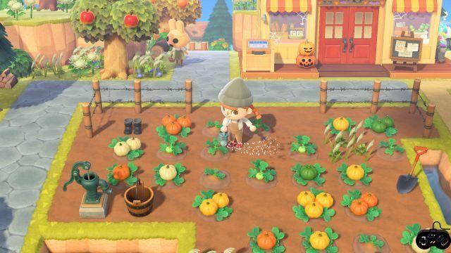 Como obter e cultivar abóboras em Animal Crossing: New Horizons