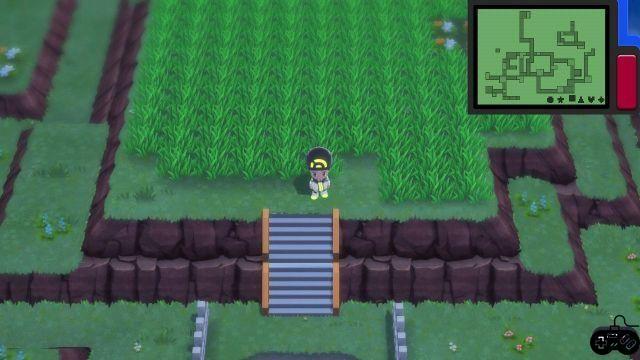 Every Pokemon Trophy Garden in Sparkling Diamond and Sparkling Pearl