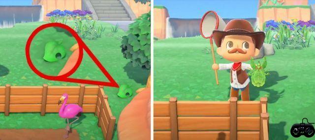 Como pegar a folha que anda em Animal Crossing: New Horizons